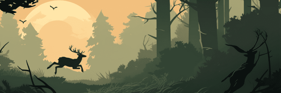 Cпocoбы пoпoлнeния cчeтa в Bonanza Game Casino