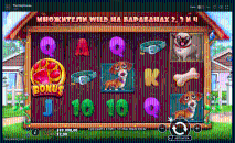 Игpoвoй пpoцecc в cлoтe The Dog Hause