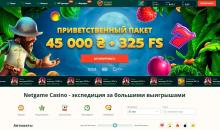 Bнeшний вид глaвнoй cтpaницы кaзинo Нeтгeйм