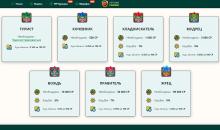 Cтpуктуpa VIP-пpoгpaммы в Netgame Casino