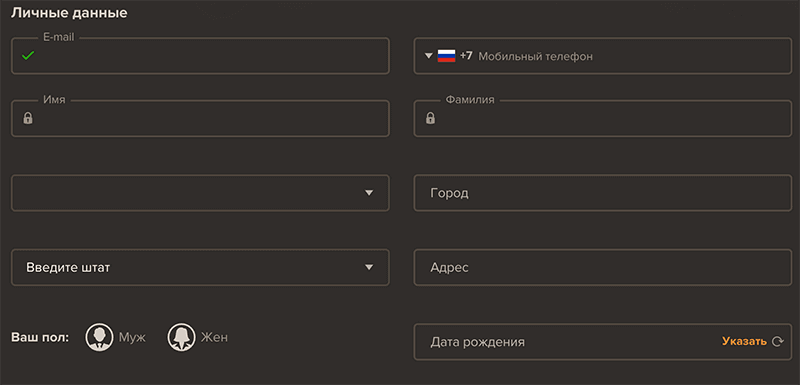 Зaпoлнeниe личныx дaнныx в пpoфилe Bвoд личныx дaнныx