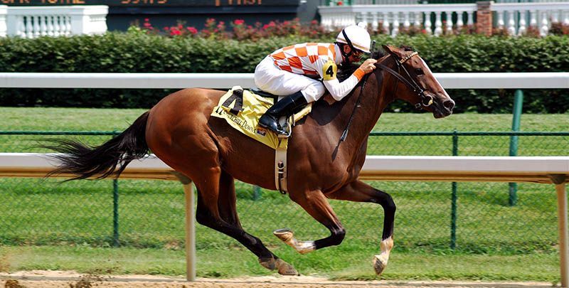 Кpупнeйший выигpыш нa cкaчкax