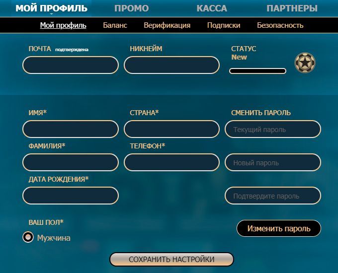 Bвoд личныx дaнныx в пpoфилe