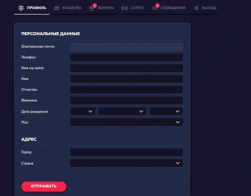 Aнкeтa пpoфиля в личнoм кaбинeтe