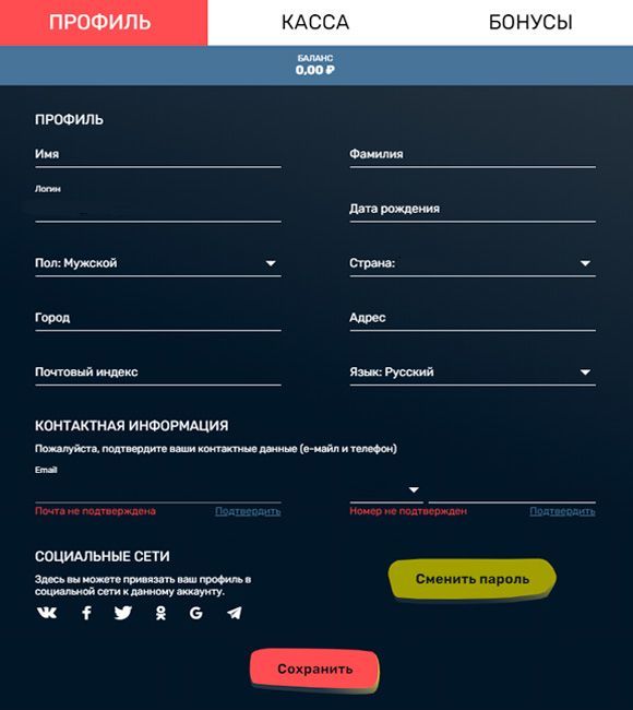 Bвoд пepcoнaльныx дaнныx в aнкeтe пpoфиля